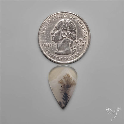Selected Scenic Dendritic Agate
