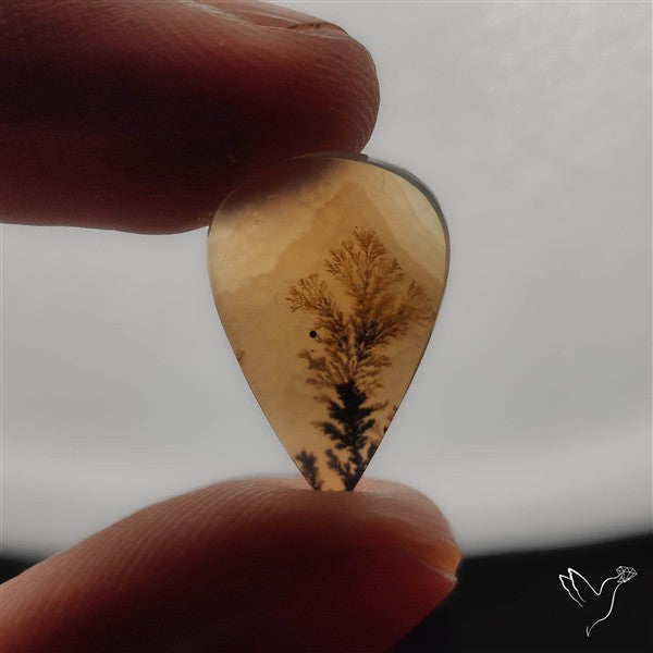 Selected Scenic Dendritic Agate