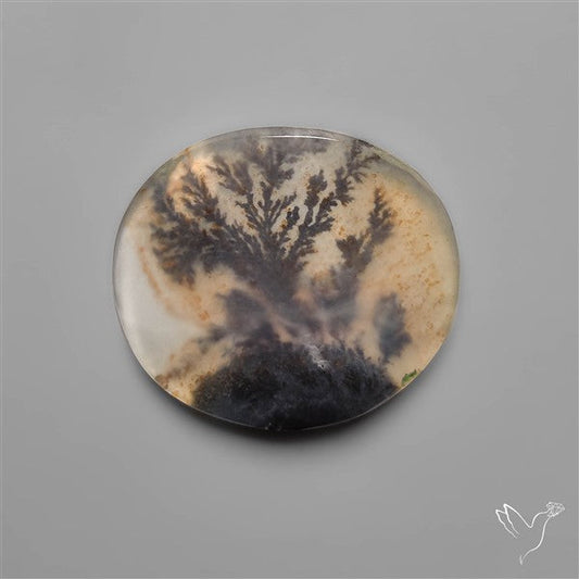 Selected Scenic Dendritic Agate