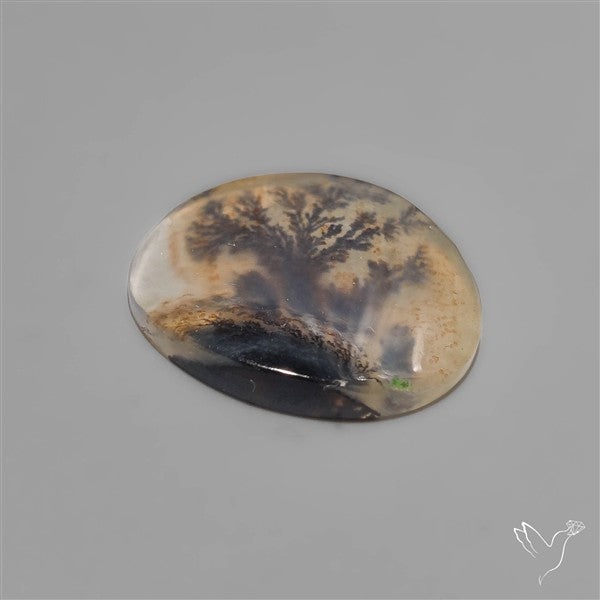 Selected Scenic Dendritic Agate