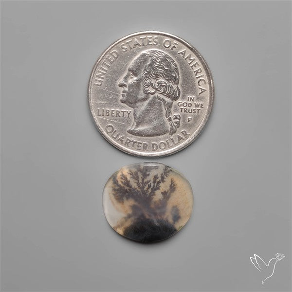 Selected Scenic Dendritic Agate