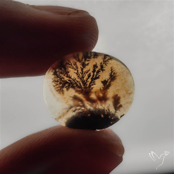 Selected Scenic Dendritic Agate