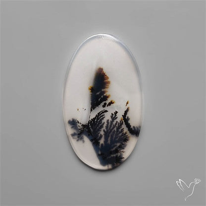 Selected Scenic Dendritic Agate