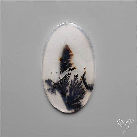 Selected Scenic Dendritic Agate