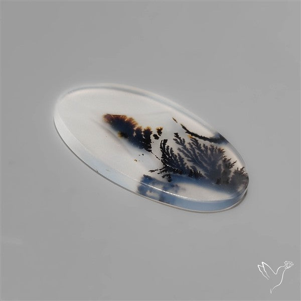 Selected Scenic Dendritic Agate