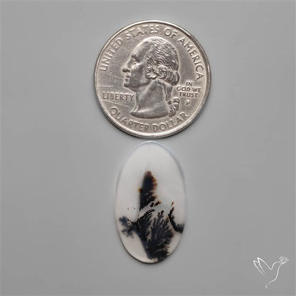 Selected Scenic Dendritic Agate