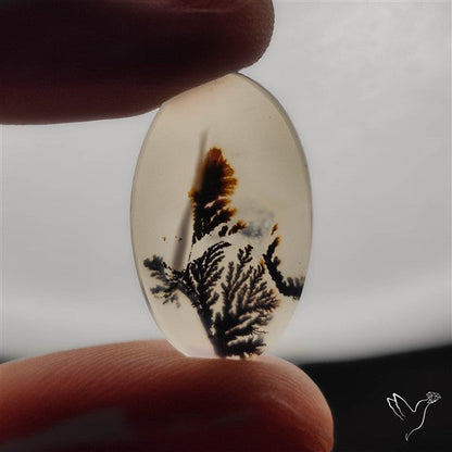Selected Scenic Dendritic Agate
