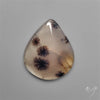 Selected Scenic Dendritic Agate