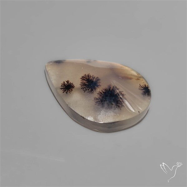 Selected Scenic Dendritic Agate