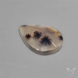 Selected Scenic Dendritic Agate