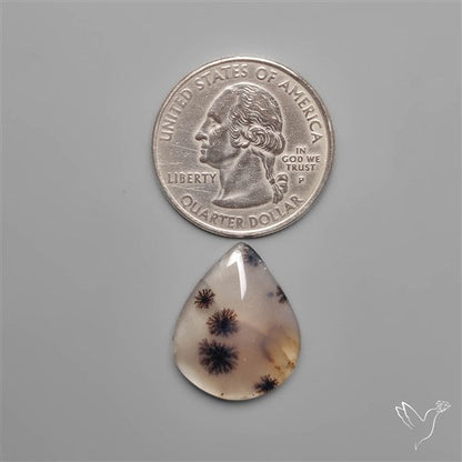 Selected Scenic Dendritic Agate