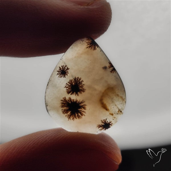 Selected Scenic Dendritic Agate