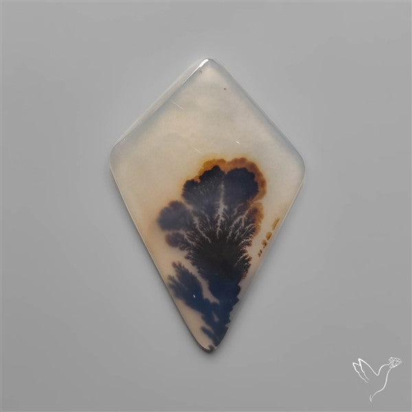 Selected Scenic Dendritic Agate