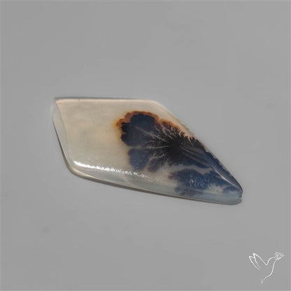 Selected Scenic Dendritic Agate