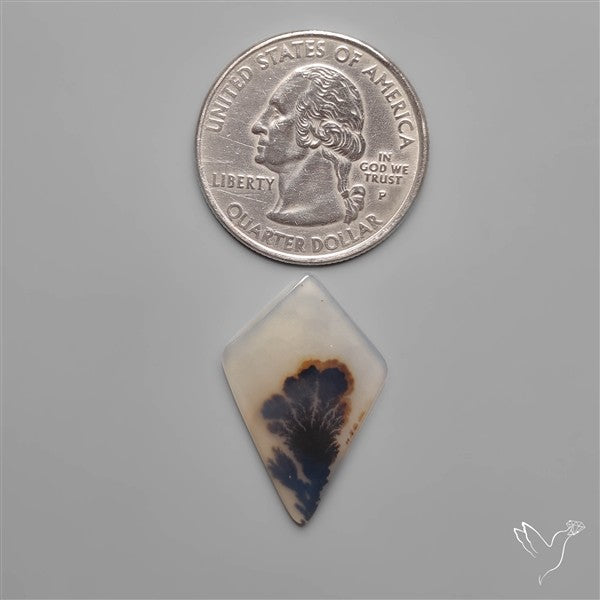 Selected Scenic Dendritic Agate