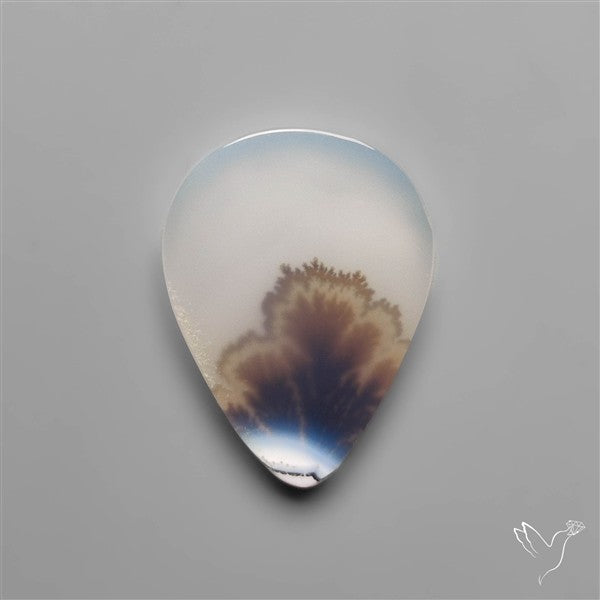 Selected Scenic Dendritic Agate