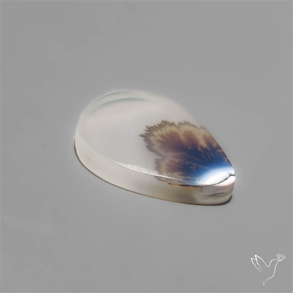 Selected Scenic Dendritic Agate