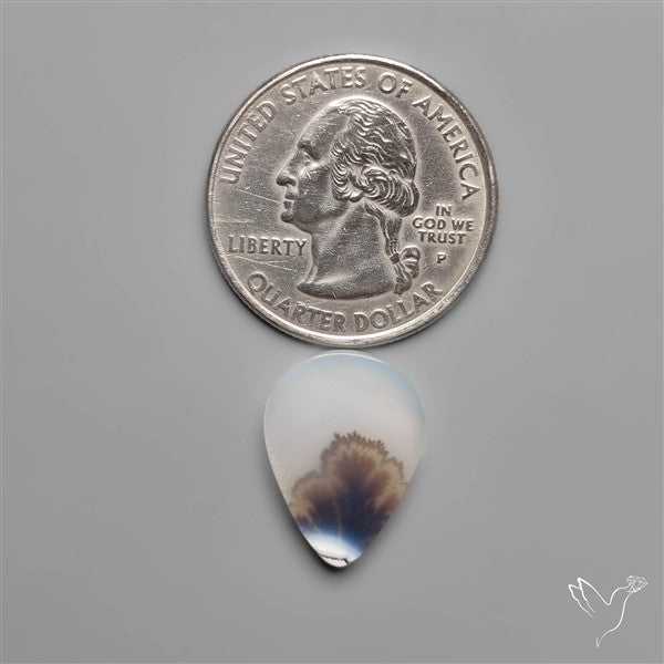 Selected Scenic Dendritic Agate