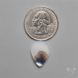 Selected Scenic Dendritic Agate