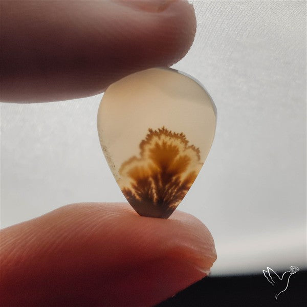 Selected Scenic Dendritic Agate