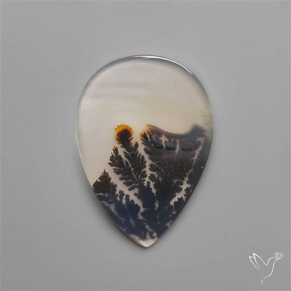 Selected Scenic Dendritic Agate