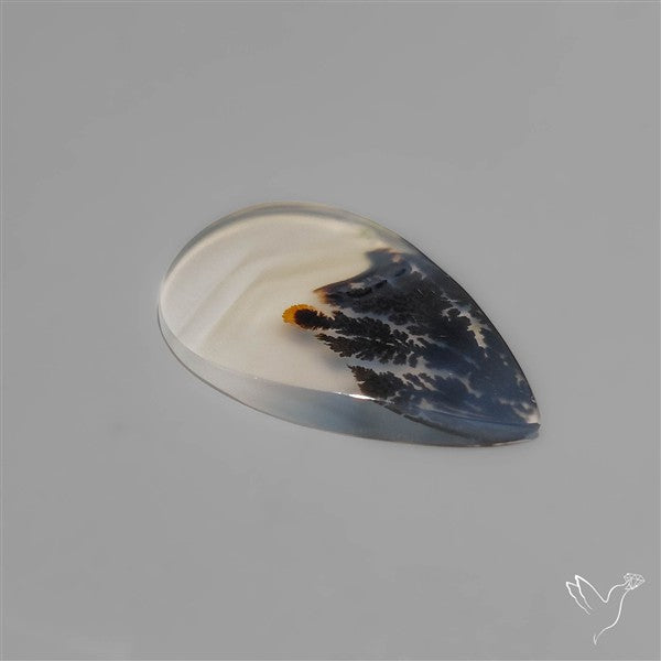 Selected Scenic Dendritic Agate