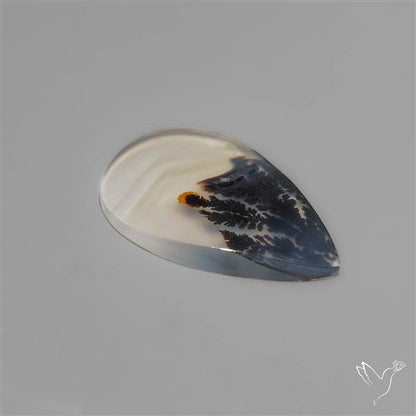 Selected Scenic Dendritic Agate