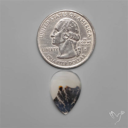 Selected Scenic Dendritic Agate