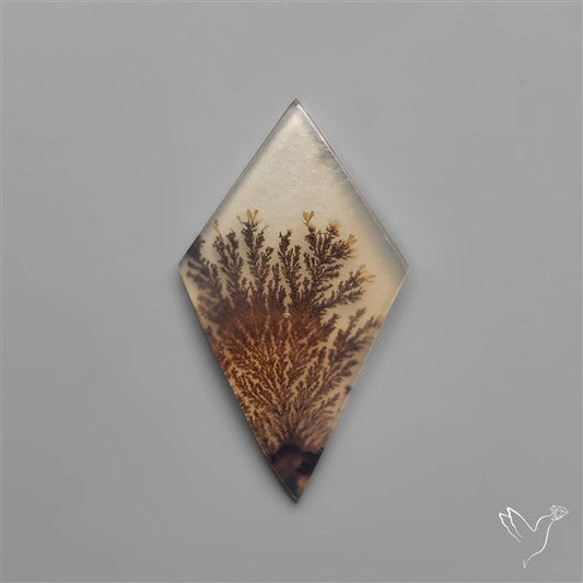 Scenic Dendritic Agate