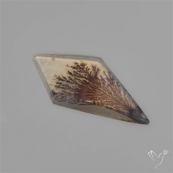 Scenic Dendritic Agate