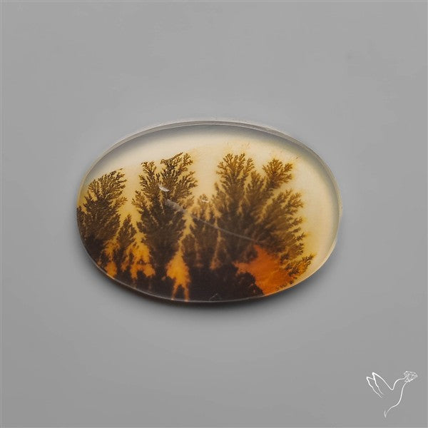 Scenic Dendritic Agate