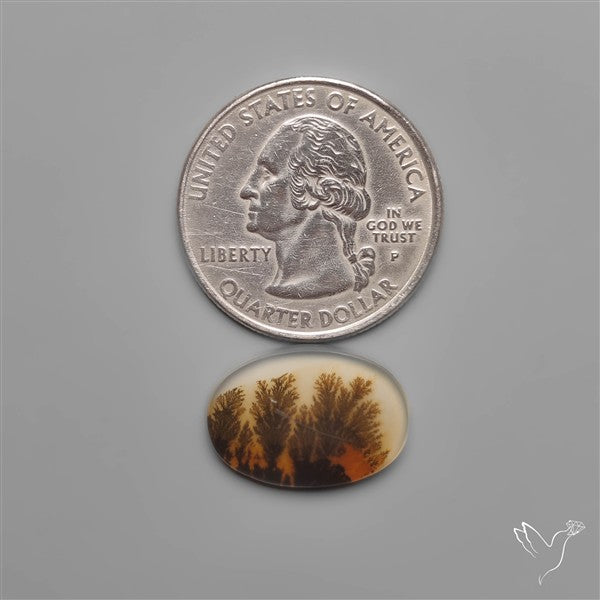 Scenic Dendritic Agate