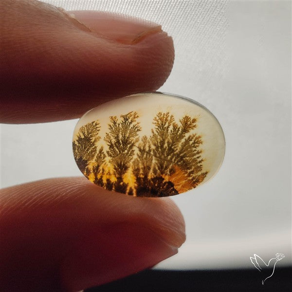 Scenic Dendritic Agate