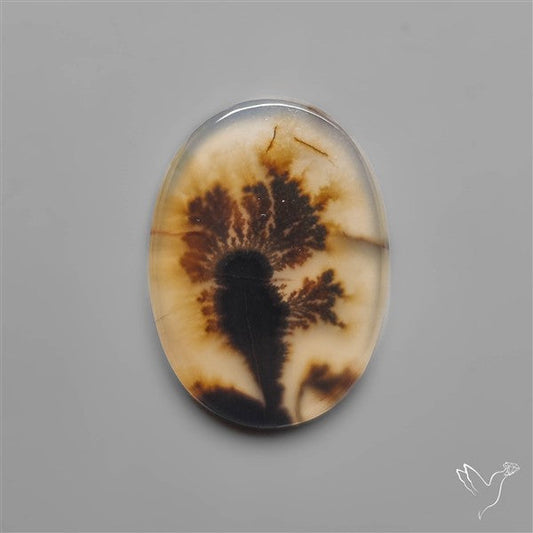 Scenic Dendritic Agate