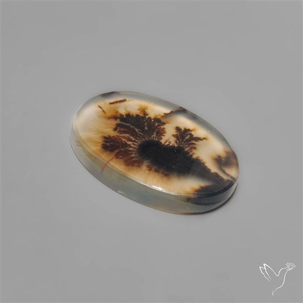 Scenic Dendritic Agate