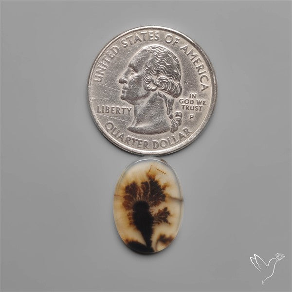 Scenic Dendritic Agate