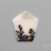 Scenic Dendritic Agate