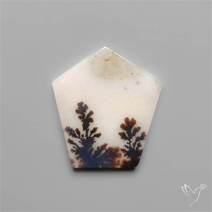 Scenic Dendritic Agate