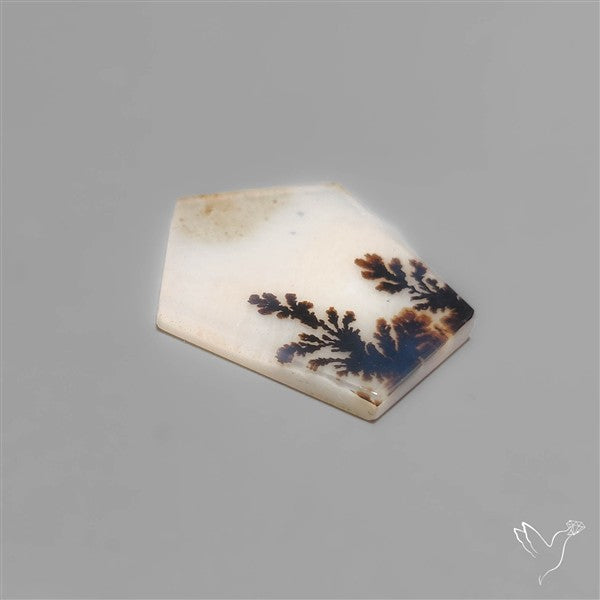 Scenic Dendritic Agate