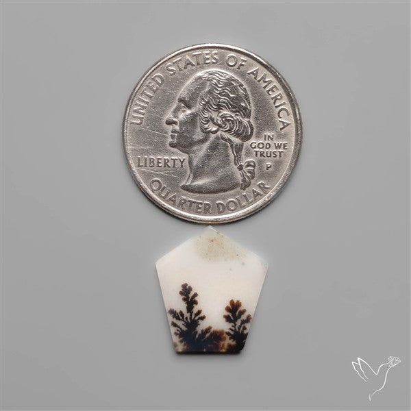 Scenic Dendritic Agate