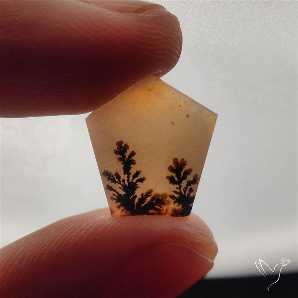 Scenic Dendritic Agate