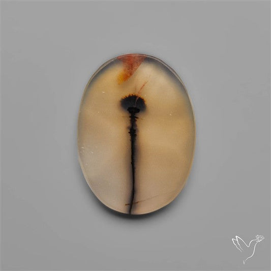Scenic Dendritic Agate