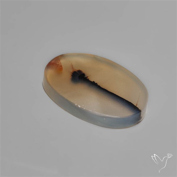 Scenic Dendritic Agate