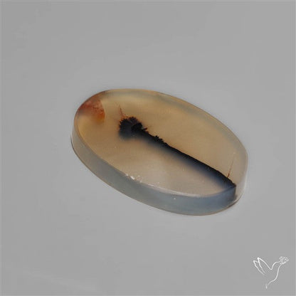 Scenic Dendritic Agate