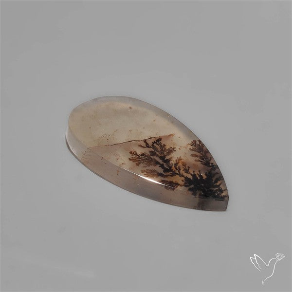 Scenic Dendritic Agate