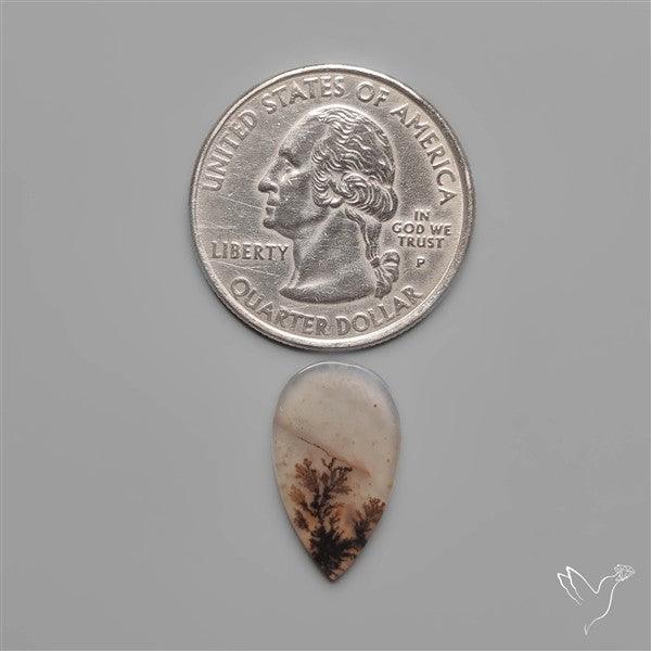 Scenic Dendritic Agate
