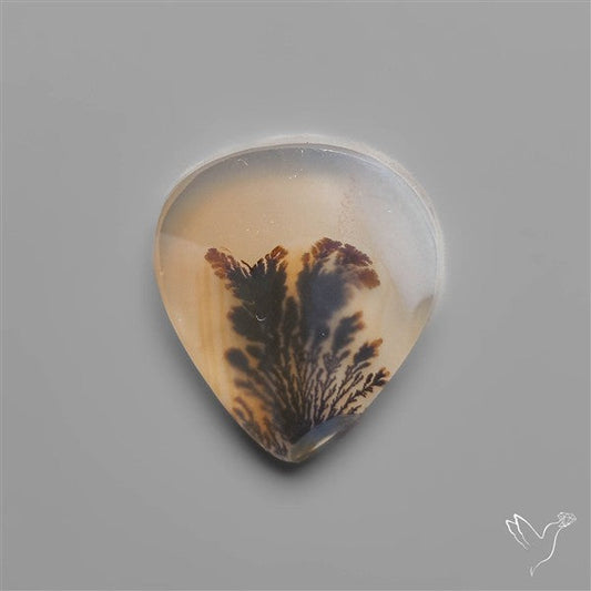 Scenic Dendritic Agate