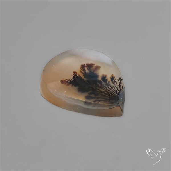 Scenic Dendritic Agate