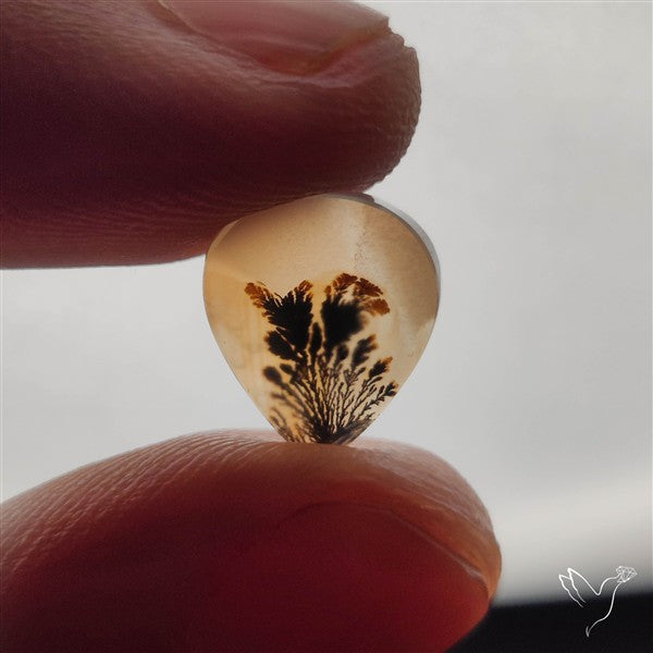 Scenic Dendritic Agate