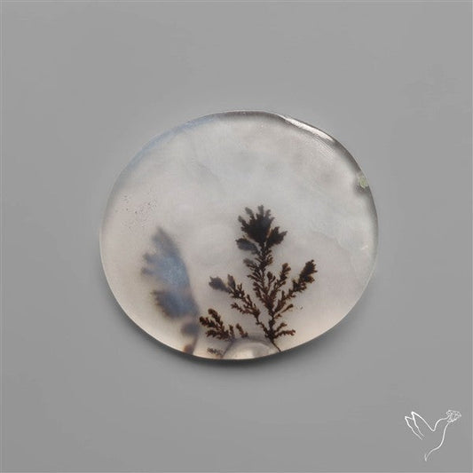 Scenic Dendritic Agate